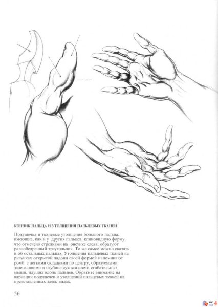 Рисование динамичных рук для художников