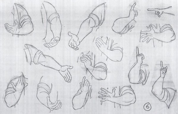 Рука в локте референс