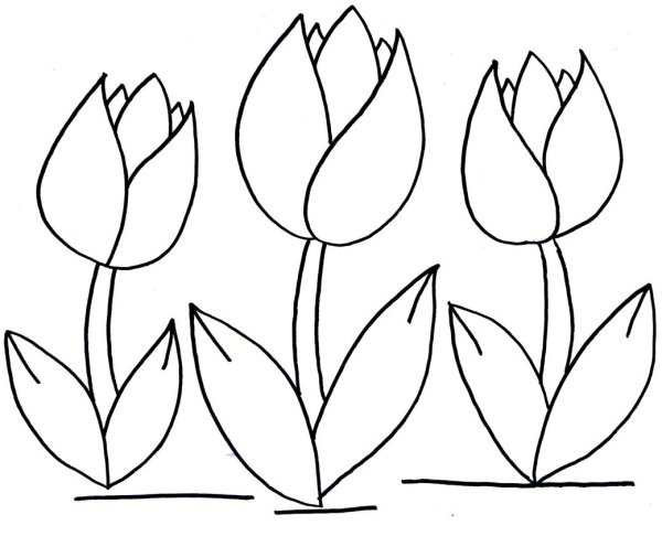 Тюльпаны для вырезания цветные
