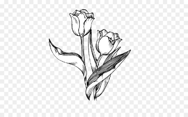 Рисование тюльпанов с детьми