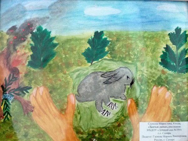 Рисунок к рассказу заячьи лапы