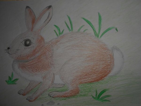 Паустовский к.г. "заячьи лапы"