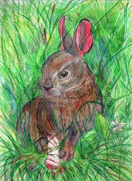 Заячьи лапы Паустовский Лесной пожар