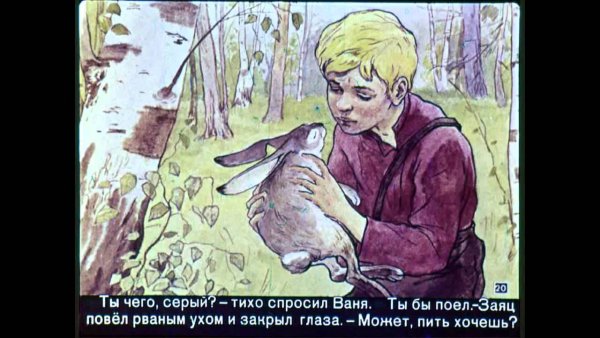 Заяц рисунок