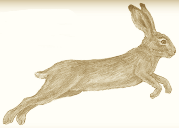 Паустовский дед Ларион и заяц