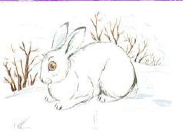 Константин Георгиевич Паустовский заячьи лапы