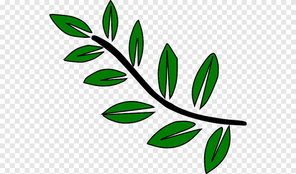 Нарисованная ветка с листьями