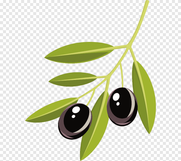 Оливковая веточка
