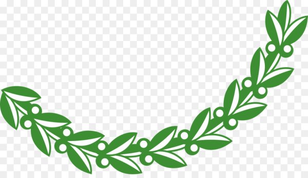 «Оливковая ветвь»первенцев