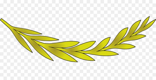 Ветка оливы