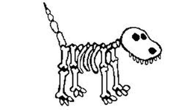 Бультерьер анатомия