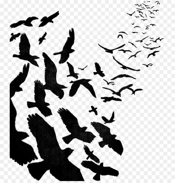 Силуэт летающих птиц