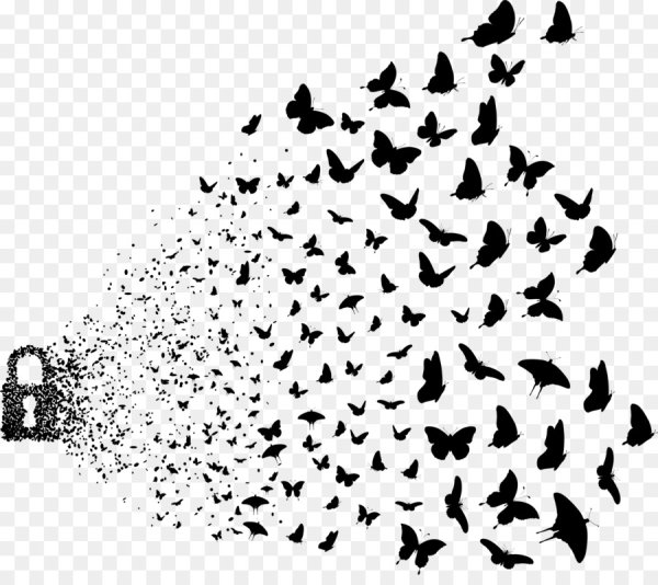 Птицы разлетаются