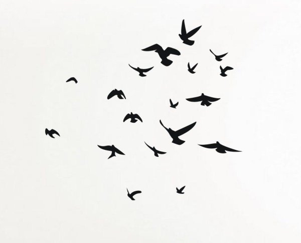 Черные птицы на белом фоне