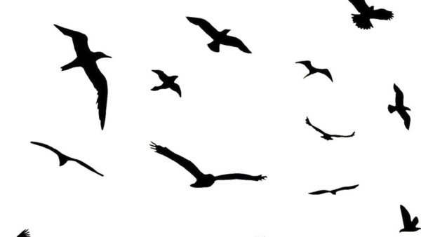 Птицы улетают вектор