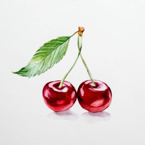Ветка вишни акварель