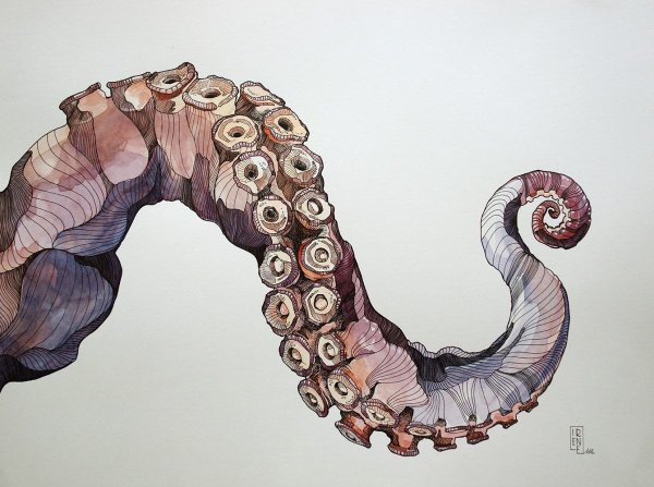 Щупальца осьминога арт