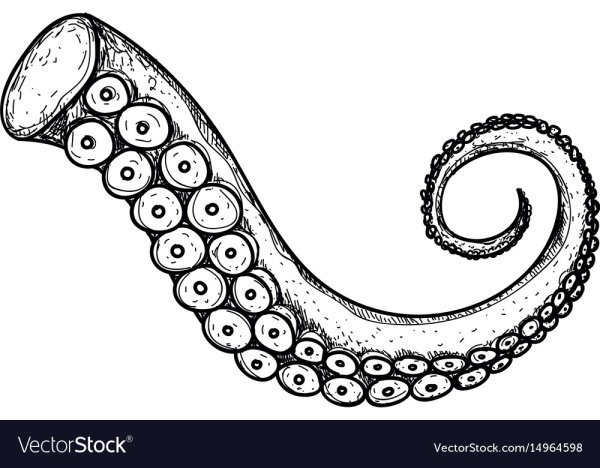 Щупальца карандашом