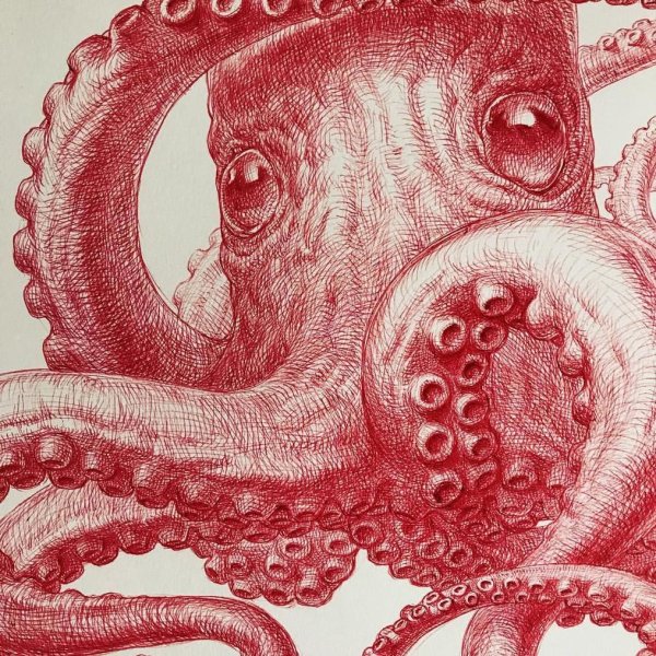 Щупальца осьминога арт