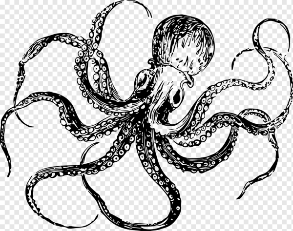 Осьминог клипарт