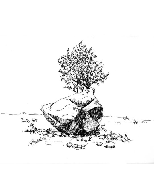 Гайдар а. "горячий камень"