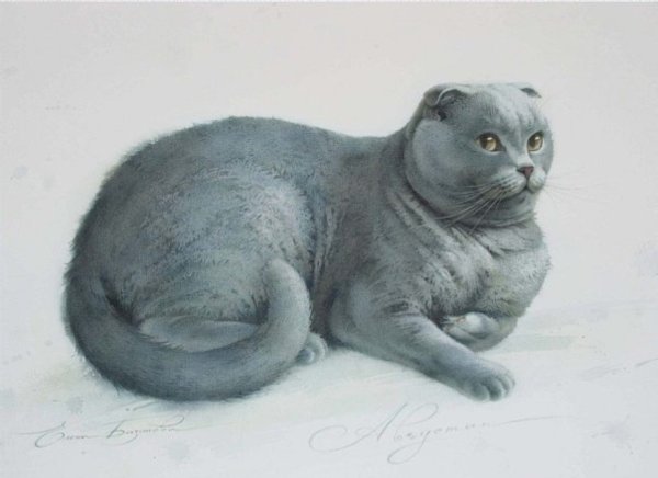 Мультяшный вислоухий кот