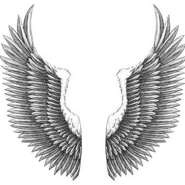 Эскиз Орел с крыльями