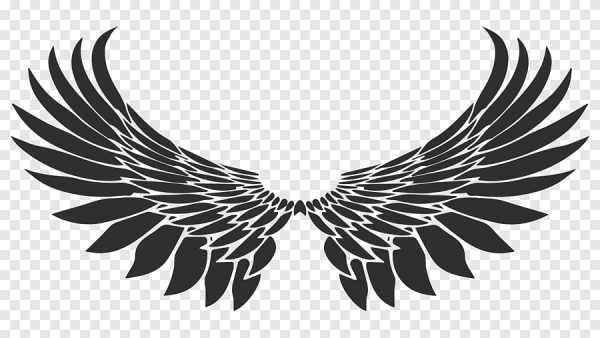 Крылья вектор