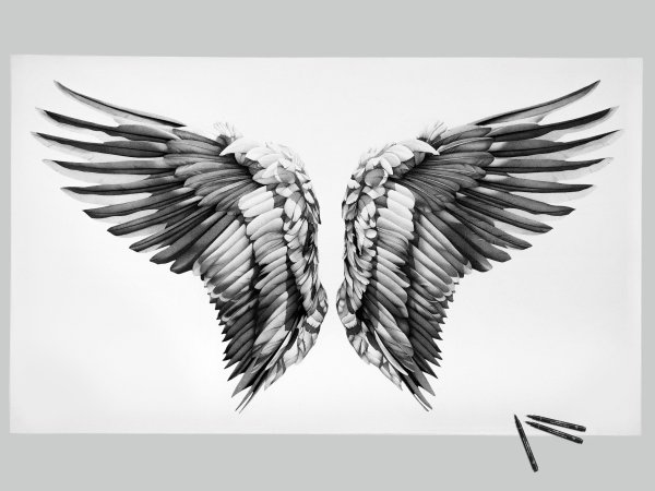 Крылья Графика