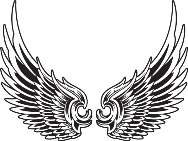 Тату Крылья