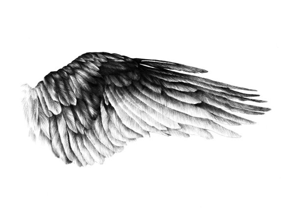 Эскизы татуировок Крылья