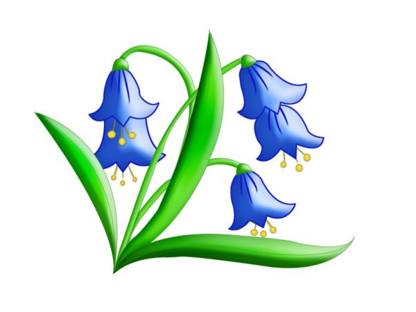 Колокольчик рисунок