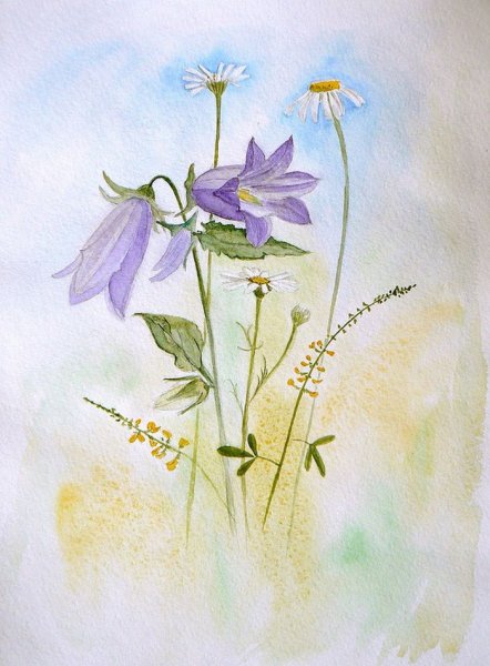 Колокольчик цветок раскраска для детей