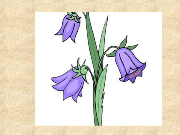 Колокольчик "цветы"