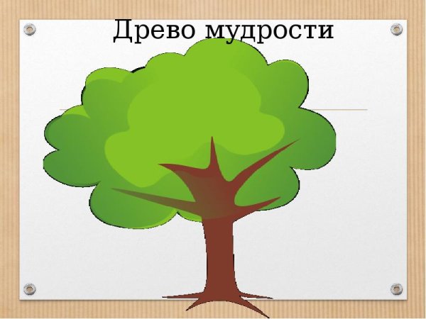 Дерево мудрости