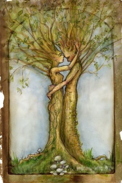 Мудрое дерево