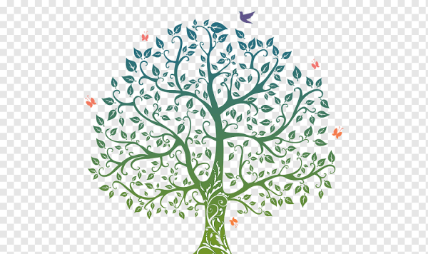 Семейное дерево на белом фоне