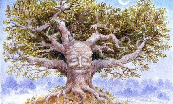 Сказочный дуб