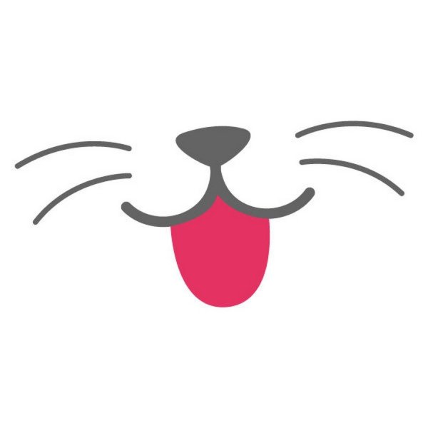 Нос и усы кота