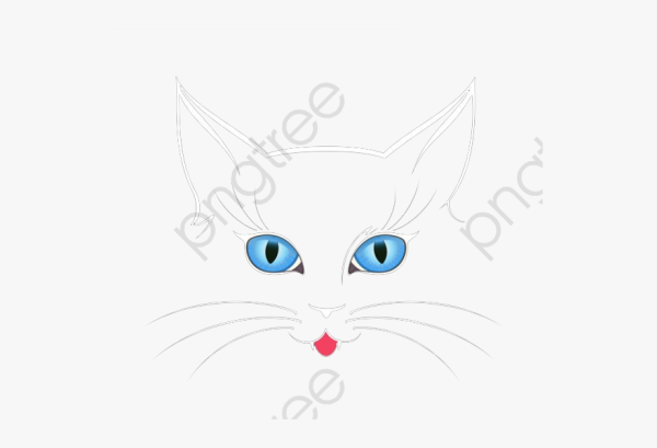 Рисование у котика усы