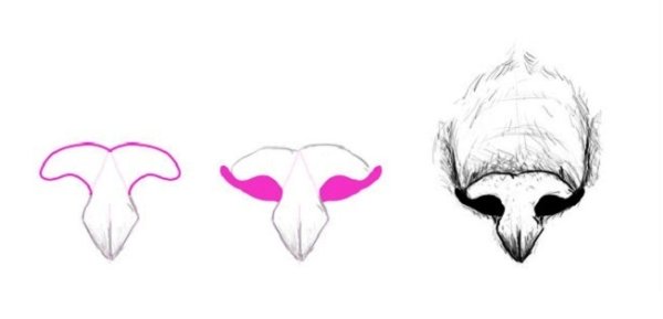 Кошачий нос референс