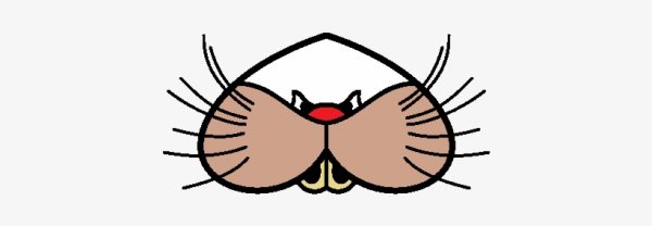 Усы и нос кошки