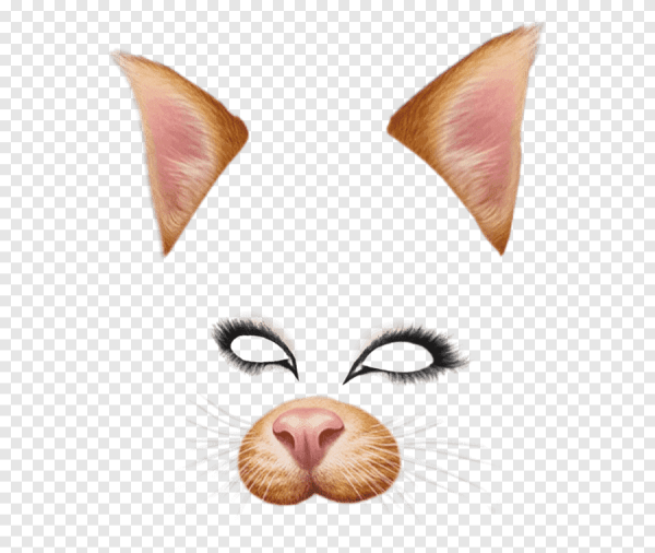 Кошачьи ушки и носик