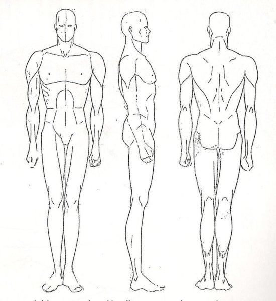 Мужская фигура для эскизов
