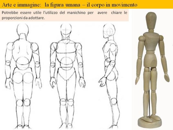 Пропорции мужского тела для рисования