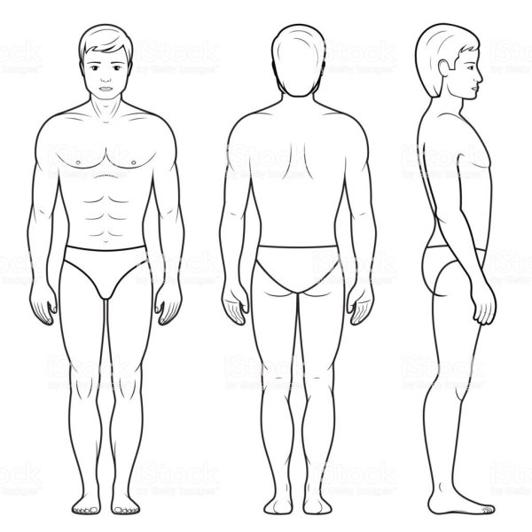 Схема человека спереди и сзади