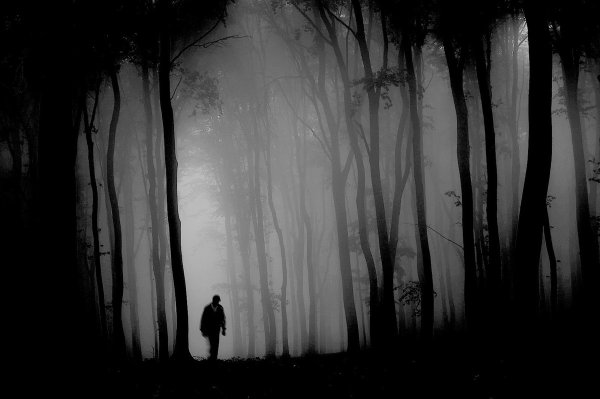 Темный силуэт в лесу