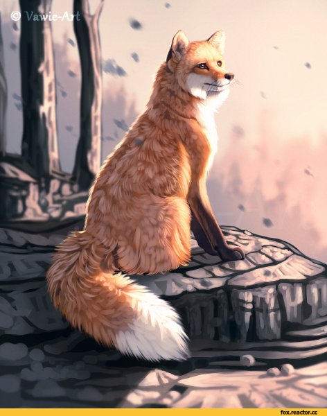 Лиса сидит арт