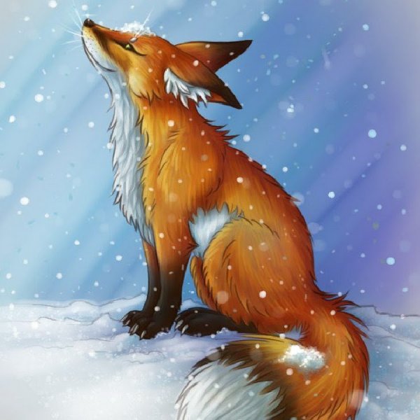 Лиса сидит боком