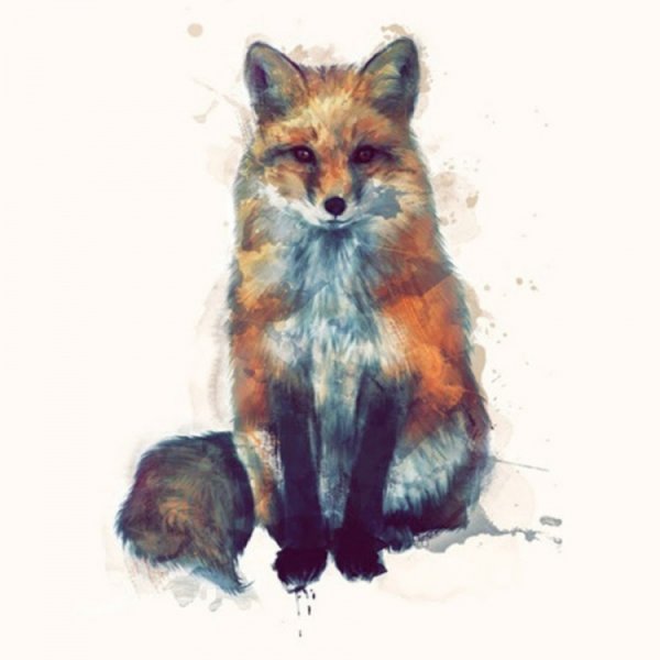 Лиса акварель на белом фоне